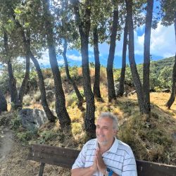 MEDITACION en bosque - For Web