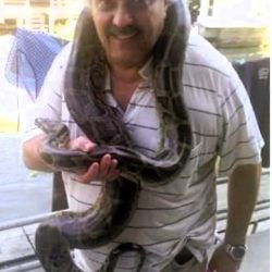 Magna & piton tailandesa