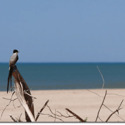 VILLA GESELL Buen día!